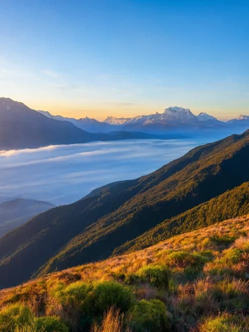 AI Matched Expert Coders Across 1,000 ED Charts