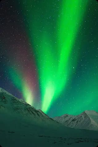Alaskan community health center achieves 97.4% accuracy in claims processing