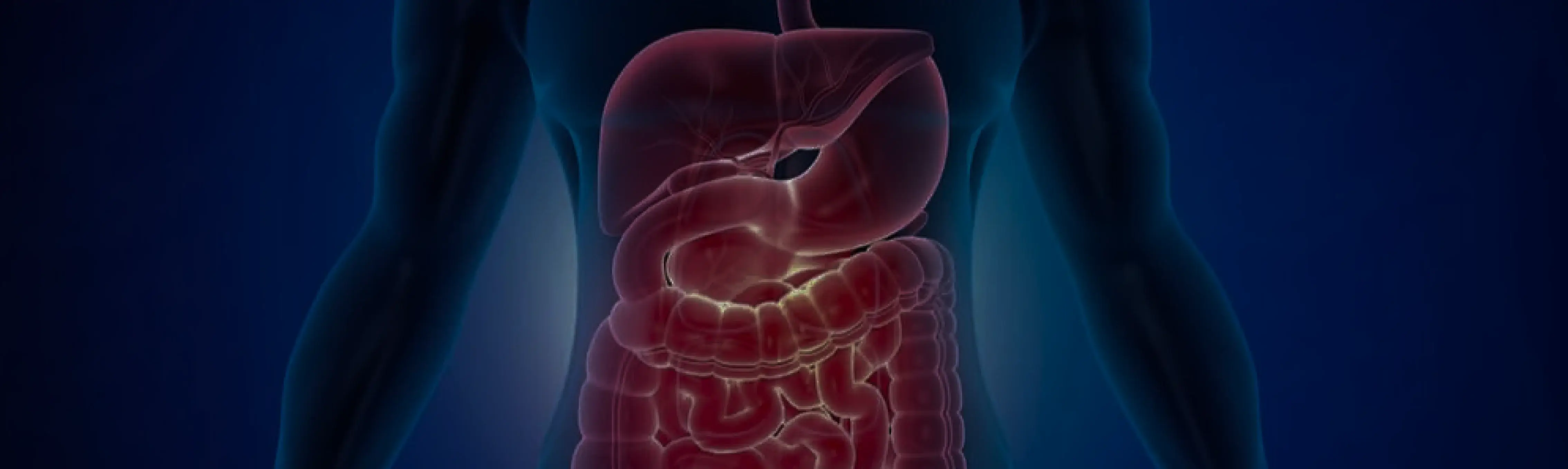 Gastroenterology