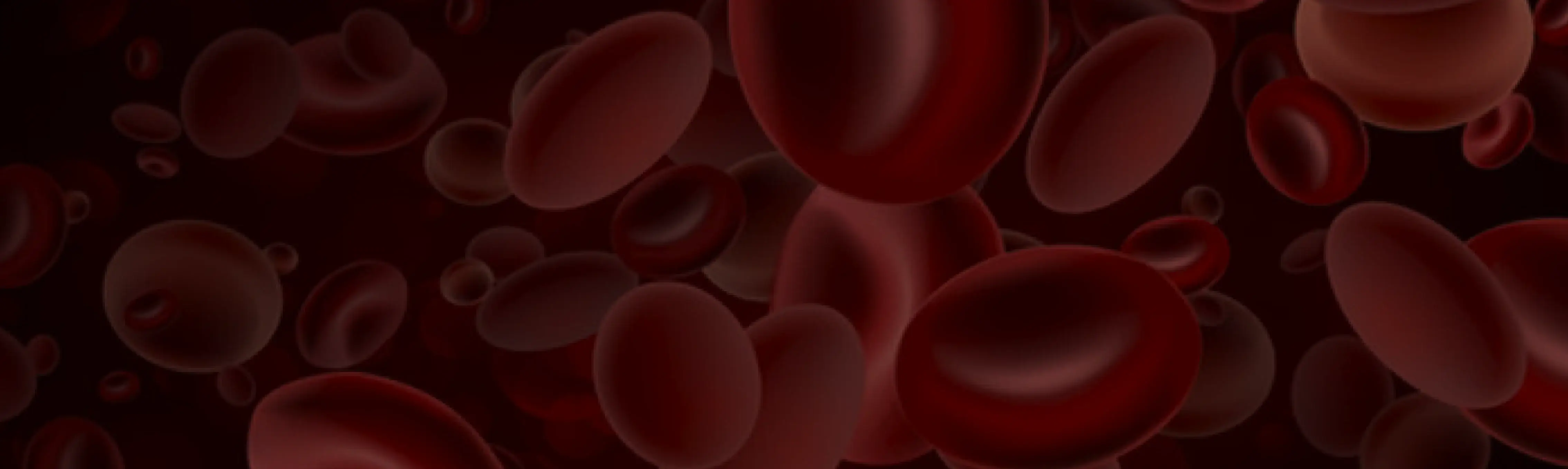 Hematology and Oncology